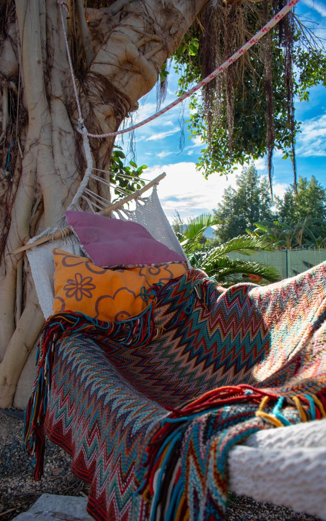Orange Blossom Finca Unique Валенсия Екстериор снимка