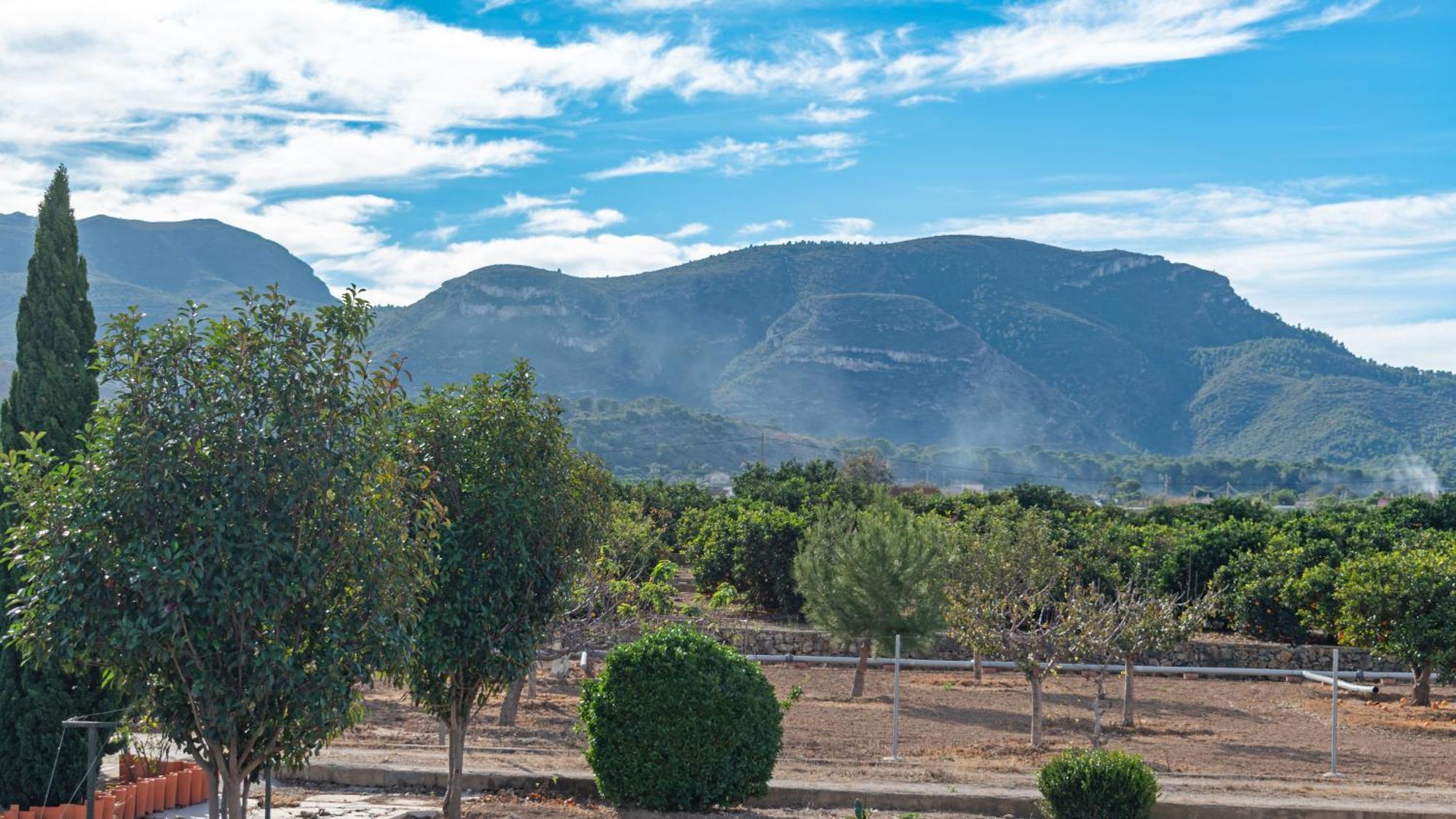 Orange Blossom Finca Unique Валенсия Екстериор снимка
