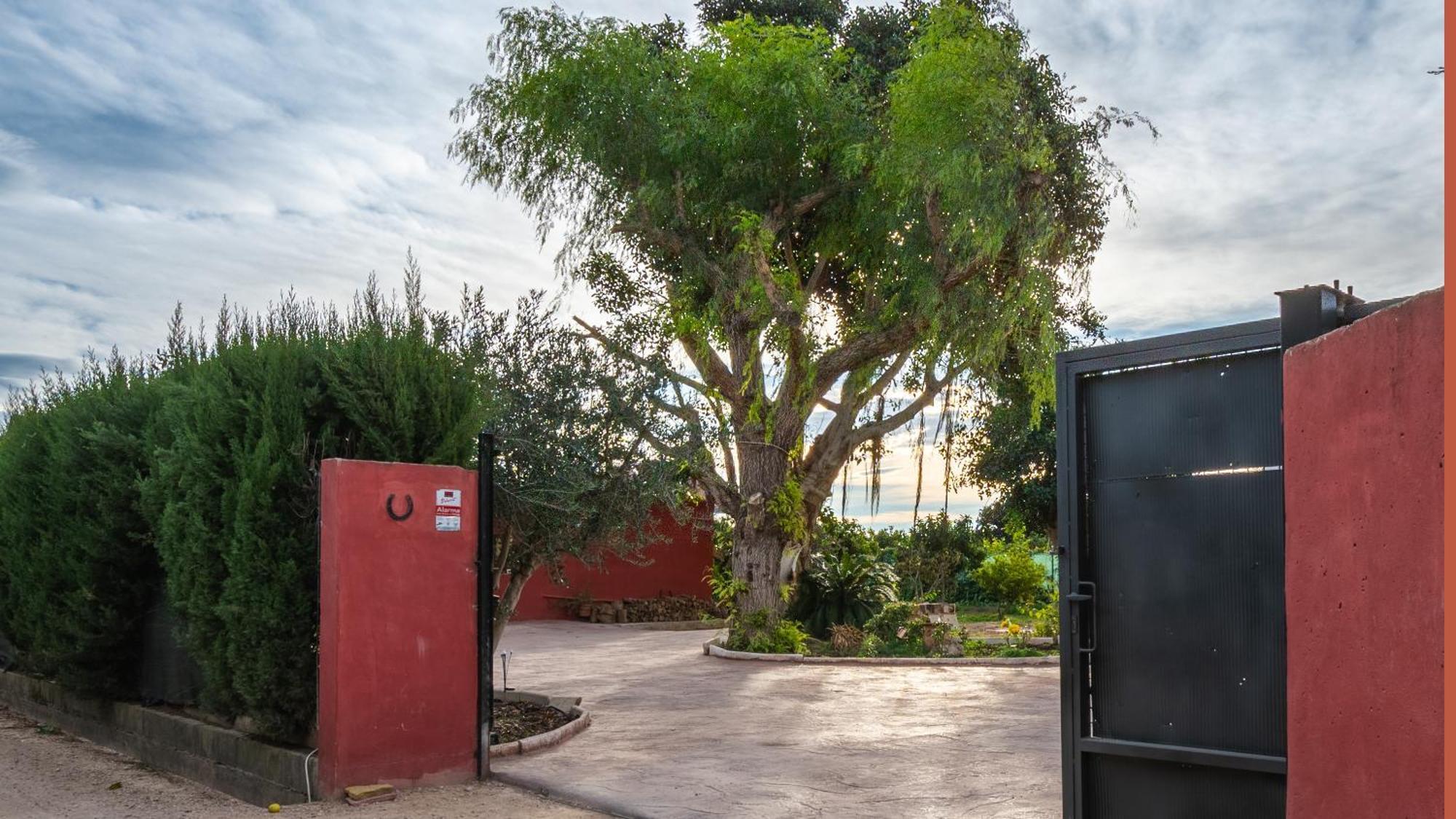 Orange Blossom Finca Unique Валенсия Екстериор снимка